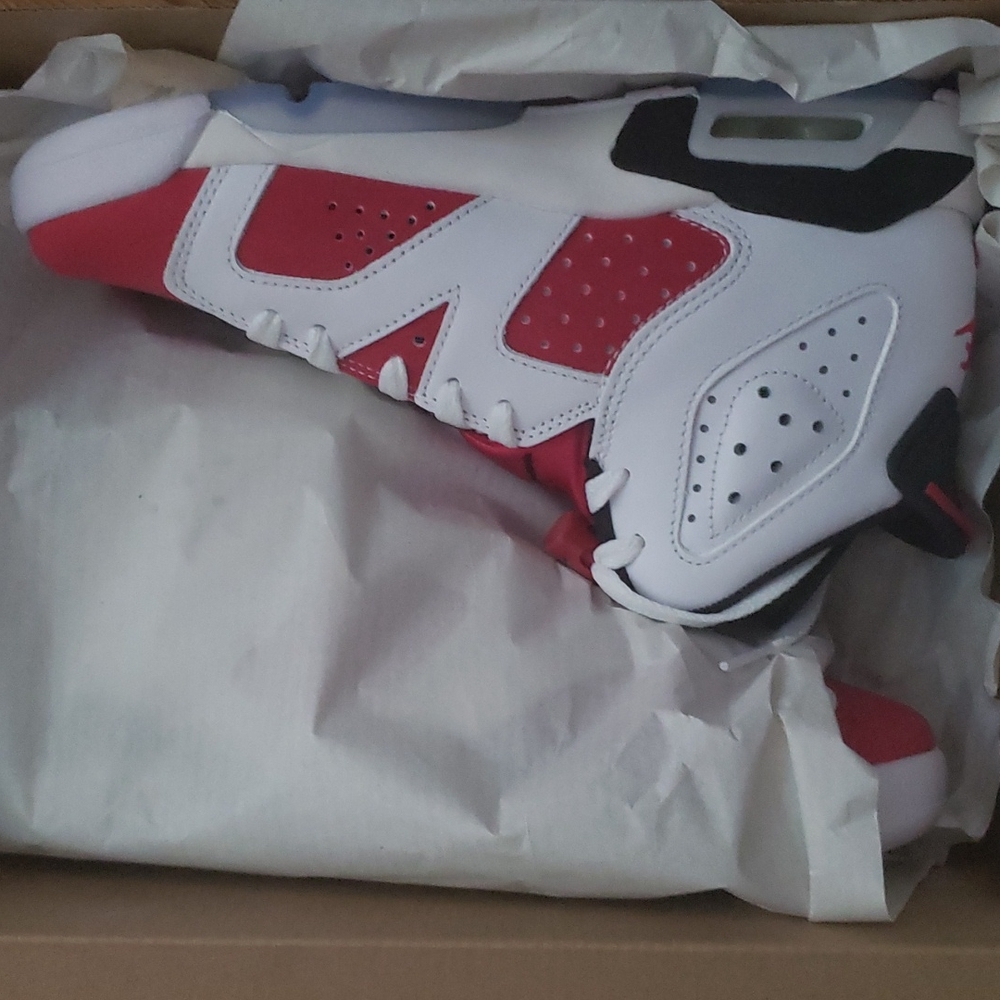 Air Jordan 6 Carmine